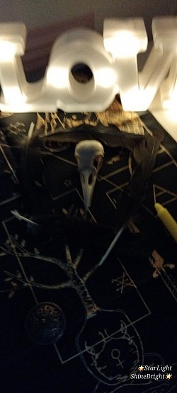 My protection Crow Skull